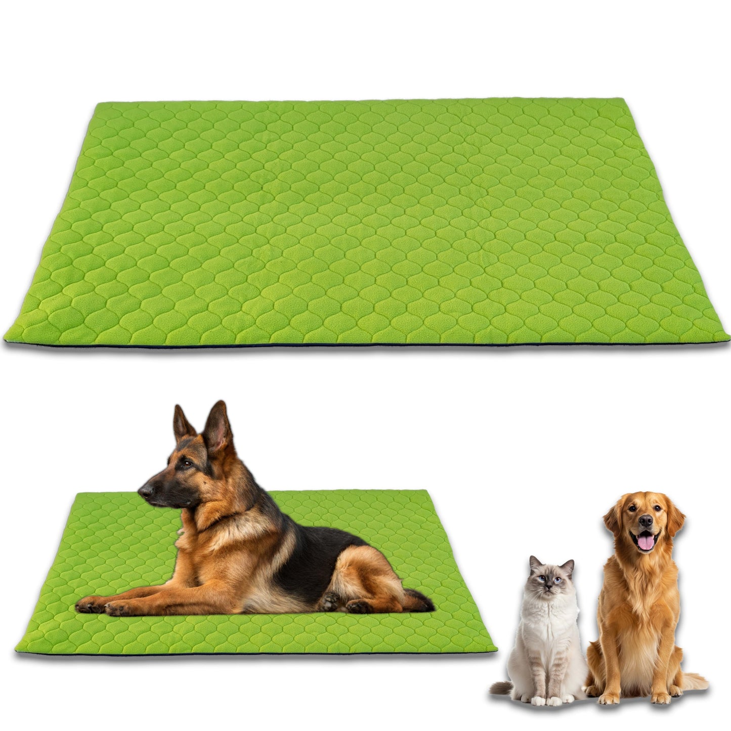 Tapis Imperméable et Confortable pour Chien et Chat - Protège Tout, Aucun liquide ne passe à travers - Disponible en 5 couleurs et 5 tailles