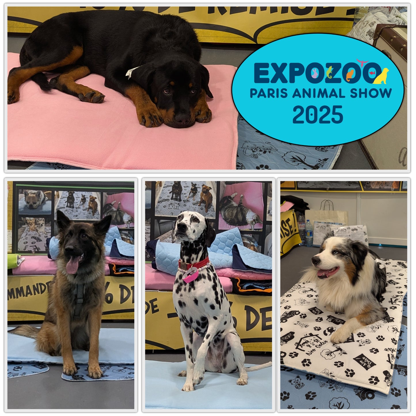 Reversible Dog and Cat Cushion - Soft and Absorbent Fleece Side and Smooth and Cool Polyester Side - Available in 2 Colors and 3 Sizes