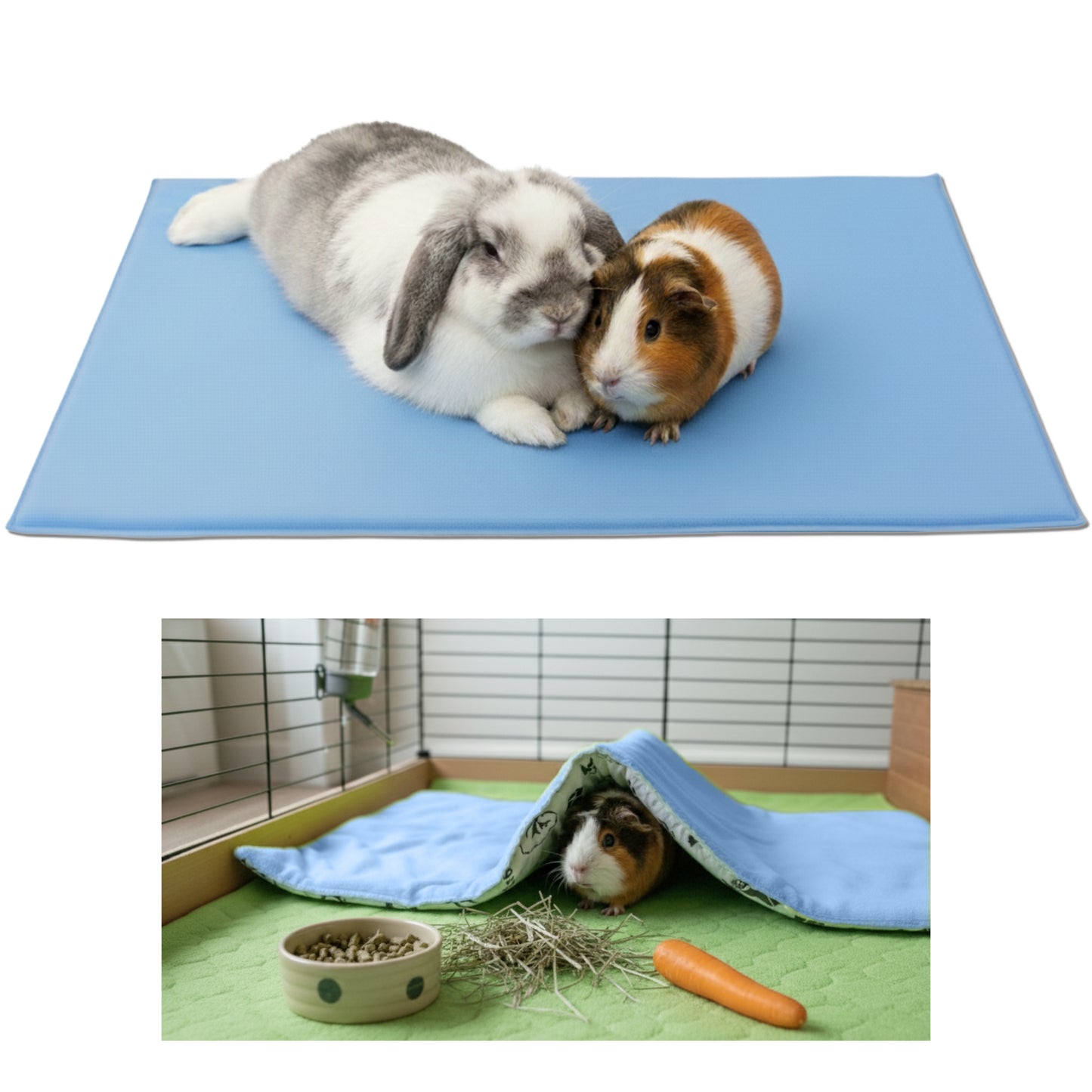 Tapis de jeu en Polaire pour Cochon d'Inde et Lapin - Tout en Un, c'est une Couverture, un Tunnel Géant, une Maison, un Coussin et un Lit - Confortable - Disponible en 3 couleurs et 6 tailles