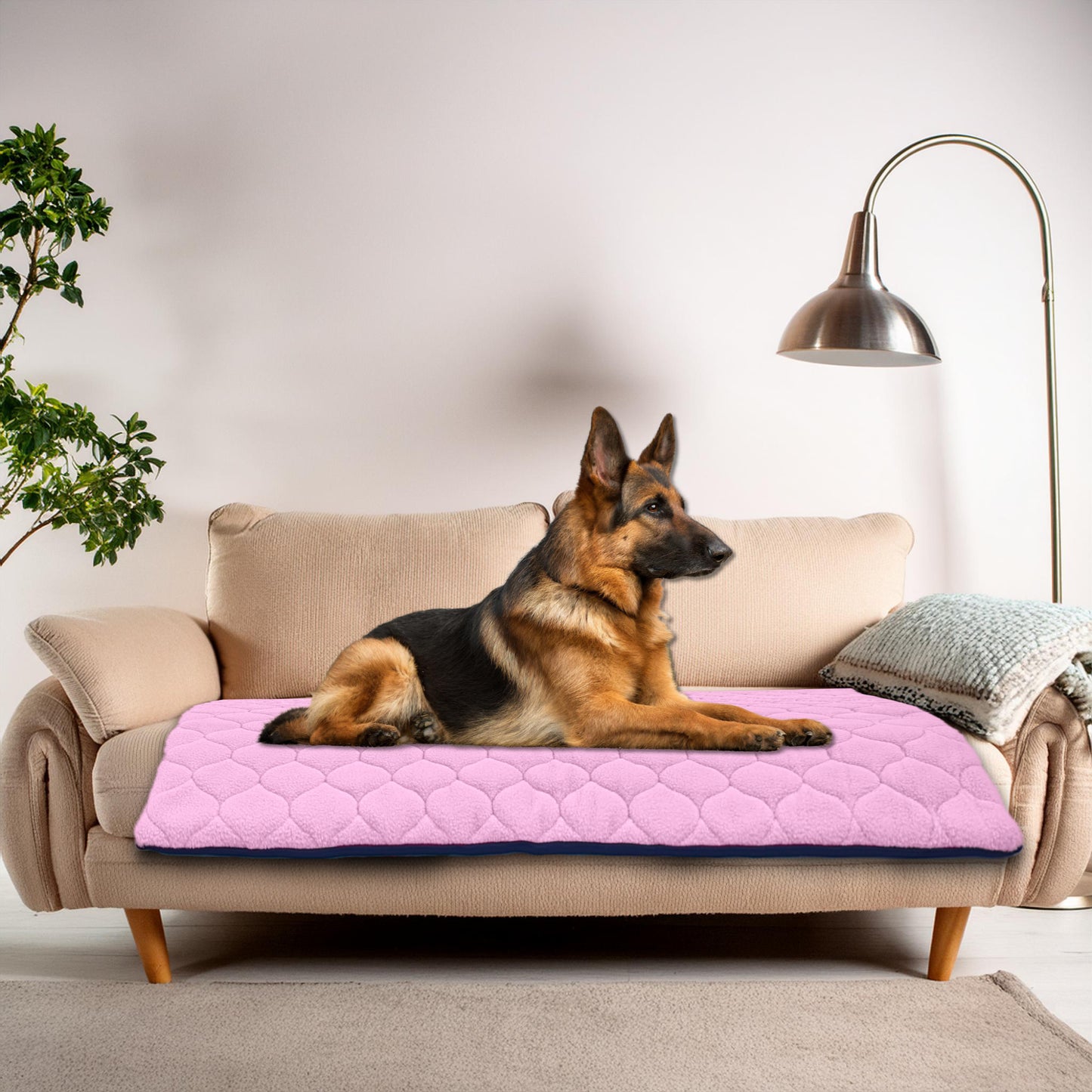 Tapis Imperméable et Confortable pour Chien et Chat - Protège Tout, Aucun liquide ne passe à travers - Disponible en 5 couleurs et 5 tailles