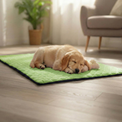 Tapis Imperméable et Confortable pour Chien et Chat - Protège Tout, Aucun liquide ne passe à travers - Disponible en 5 couleurs et 5 tailles