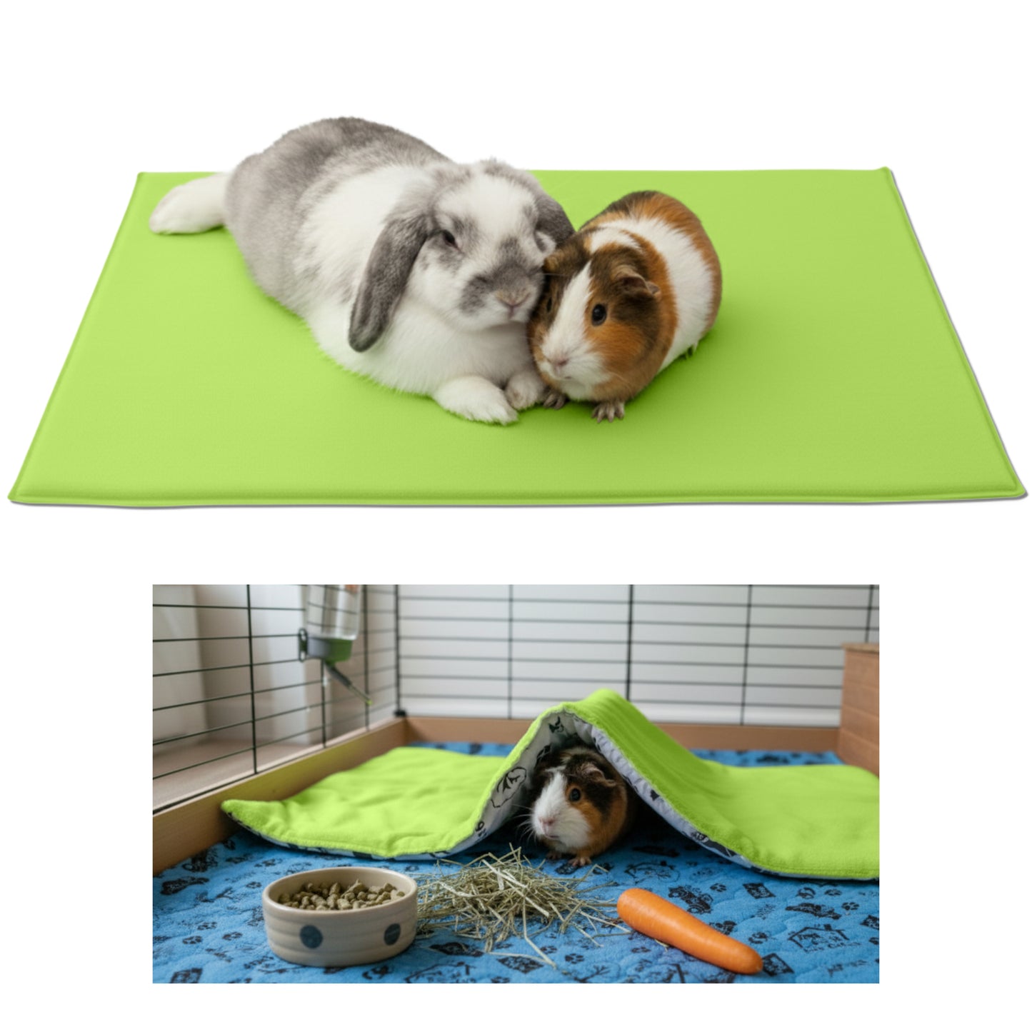 Tapis de jeu en Polaire pour Cochon d'Inde et Lapin - Tout en Un, c'est une Couverture, un Tunnel Géant, une Maison, un Coussin et un Lit - Confortable - Disponible en 3 couleurs et 6 tailles