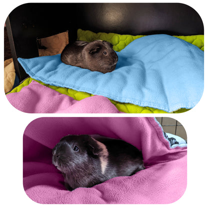 Pack multi-produits - Tapis de jeu en Polaire pour Cochon d'Inde et Lapin - Tout en Un, c'est une Couverture, un Tunnel Géant, une Maison, un Coussin et un Lit - Confortable - Disponible en multiples couleurs et tailles