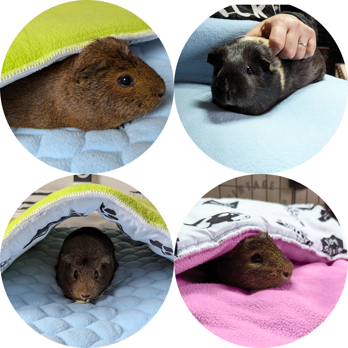 Pack multi-produits - Tapis de jeu en Polaire pour Cochon d'Inde et Lapin - Tout en Un, c'est une Couverture, un Tunnel Géant, une Maison, un Coussin et un Lit - Confortable - Disponible en multiples couleurs et tailles